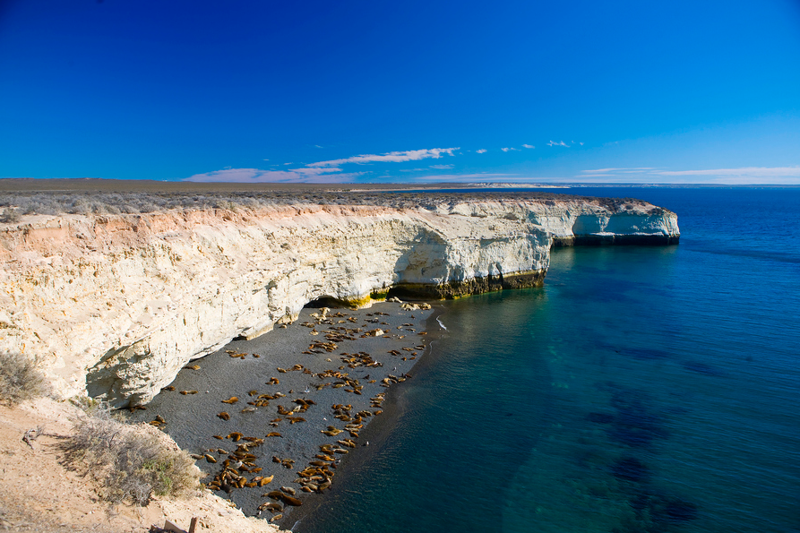 Península de Valdés Agencia de viajes y turismo Pura Vida.
